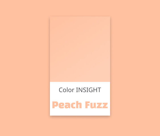 살색, 피부색 인종차별 의 역사 ; Peach Fuzz